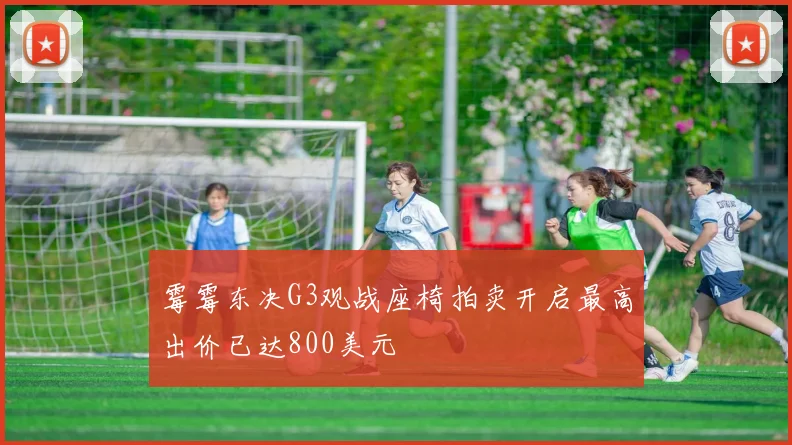 霉霉东决G3观战座椅拍卖开启最高出价已达800美元