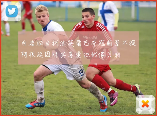 白岩松分析法英葡巴夺冠前景不提阿根廷因对其喜爱担忧像贝利